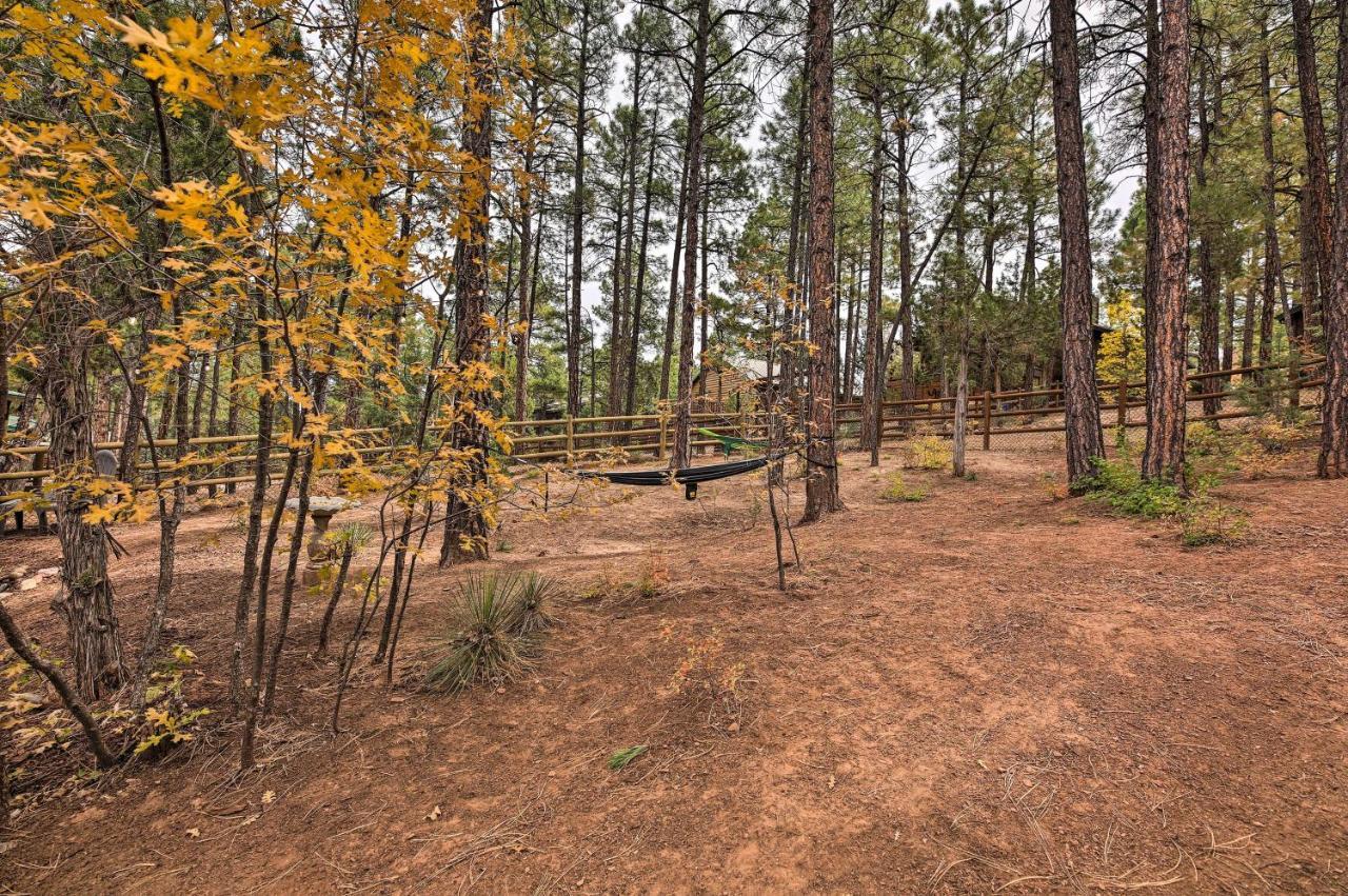 Pet-Friendly Show Low Cabin With Trail Access! Екстериор снимка